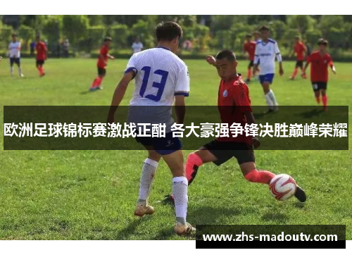 欧洲足球锦标赛激战正酣 各大豪强争锋决胜巅峰荣耀